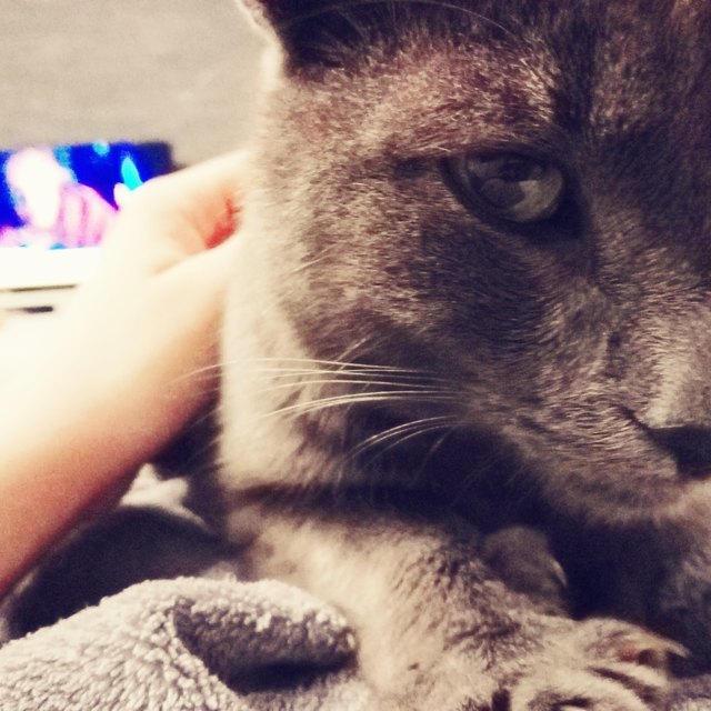 Kuschelzeit mit Milo