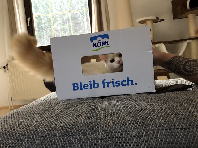 #bleibfrisch