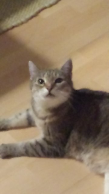 ...jo, I bim`s... Mischa war 3 Monate verschwunden