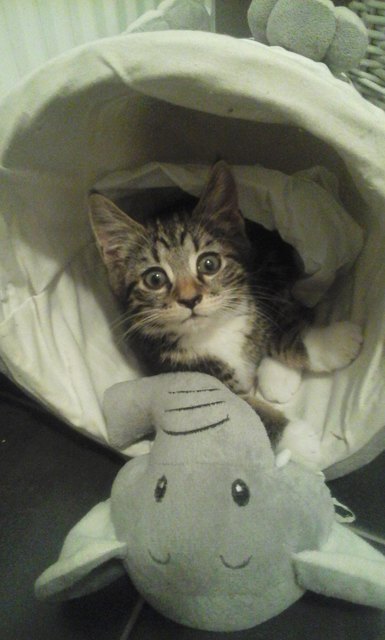 Vor Monty ist nichts sicher!!!