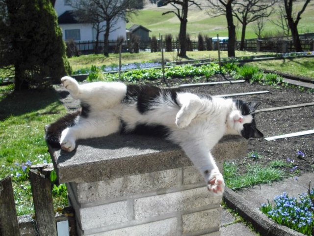 Ein wenig chillen
