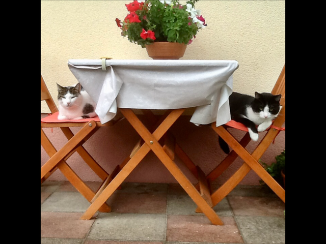 Jedem sein Platz