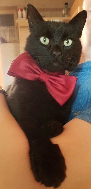Ich bin bereit für das Fotoshooting!