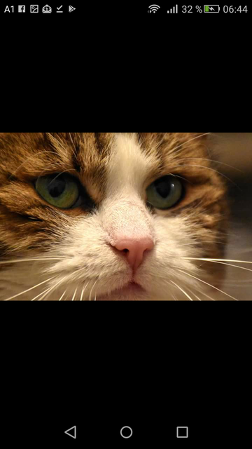 Unser Löwe