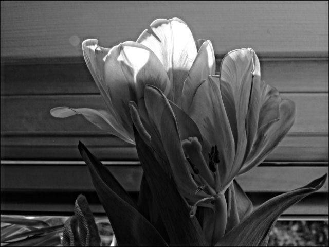 Damit's nicht gleich eine Überdosis Bunt wird!!