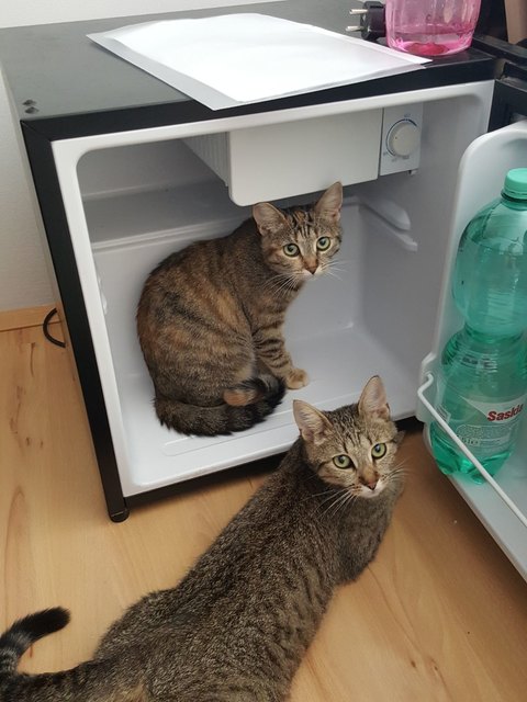 Abkühlung gefällig?