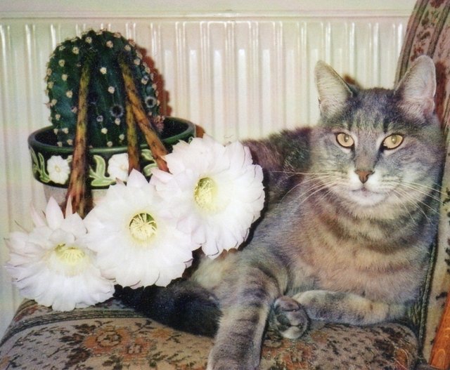 Unsere Prinzessin liebt die Blumen
