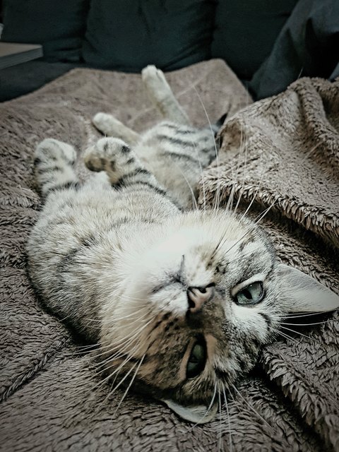 Schau mir in die Augen Kleines!!