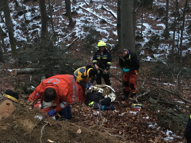 Die Bergung des Verletzten gestaltetet sich aufgrund des unwegsamen Geländes schwierig. | Foto: FF Kaltenleutgeben