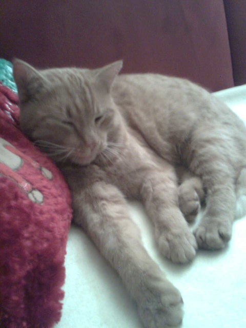 Murphy total relaxed ;-)