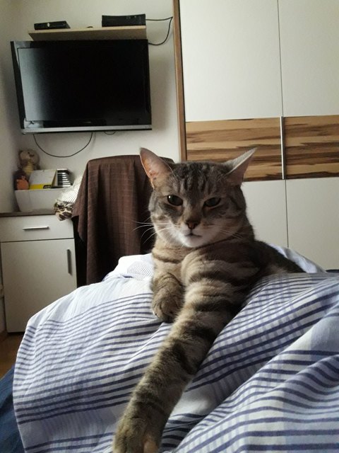 Guten moMorg