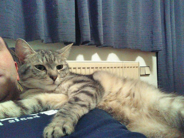 Sindy chillen