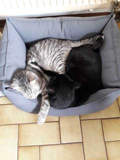 Kuschelzeit