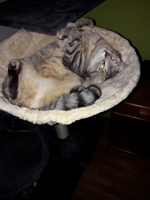 Blöd schauen