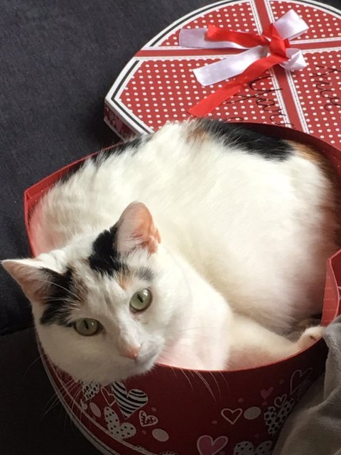 Von Bianca Schön aus Krems