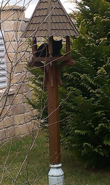 Leos Zweitwohnsitz in Nachbars Vogelhäuschen