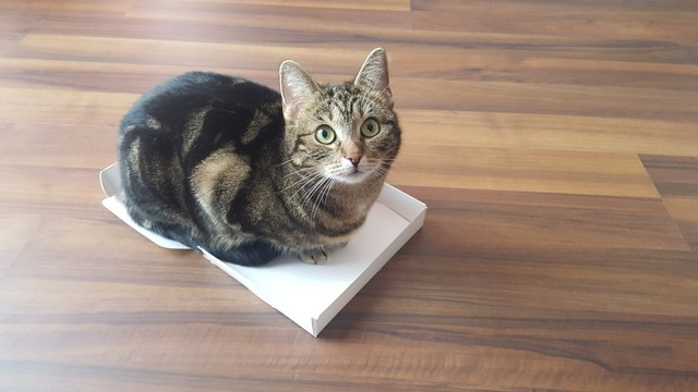Was nicht passt, wird passend gemacht!