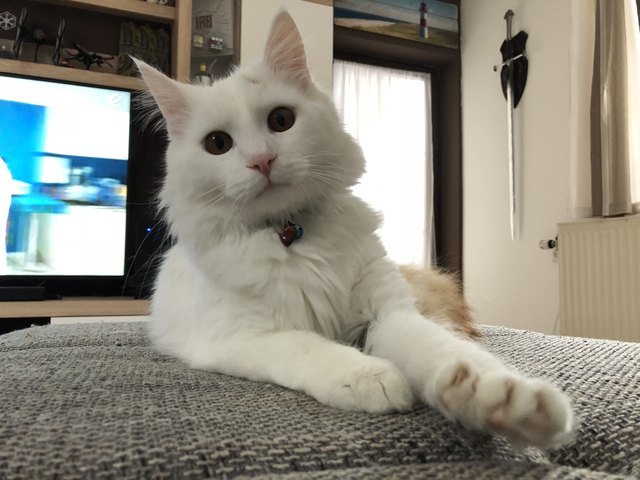 ❤️