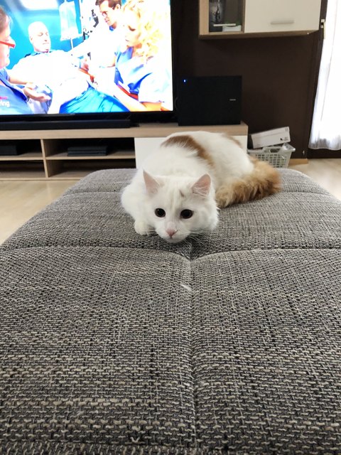 ❤️