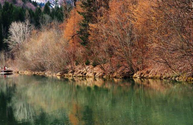 Fast herbstliche Anmutung Anfang März. Der Lebensraum Wasser hat einen hohen Stellenwert im Gesäuse.