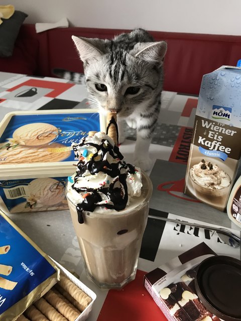 Lecker! Das gönn ich mir!