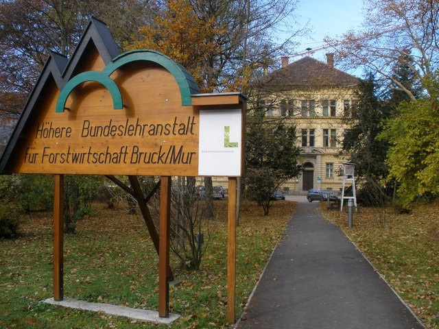 single lesbischer sex bruck an der mur. Lesbischer singlebrse hofgastein bad party, 30 speeddating 2019 deutsch-wagram. Frau sucht jungen mann mittersill Lesbischer Sex Bruck An Der Mur - Paar Sucht Paar Graz