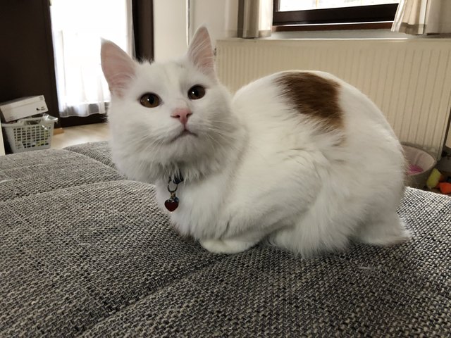 ❤️