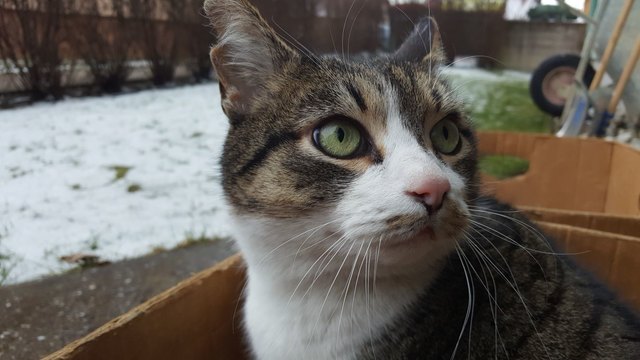 Snooby's Kontrollblick