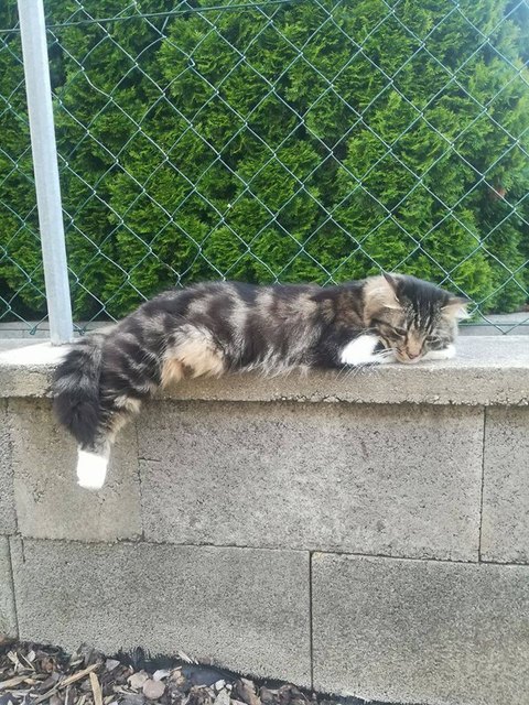 Lass mich in Ruhe chillen ...