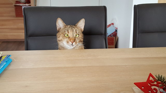 "Ich bin dann für die Besprechnung bereit!"