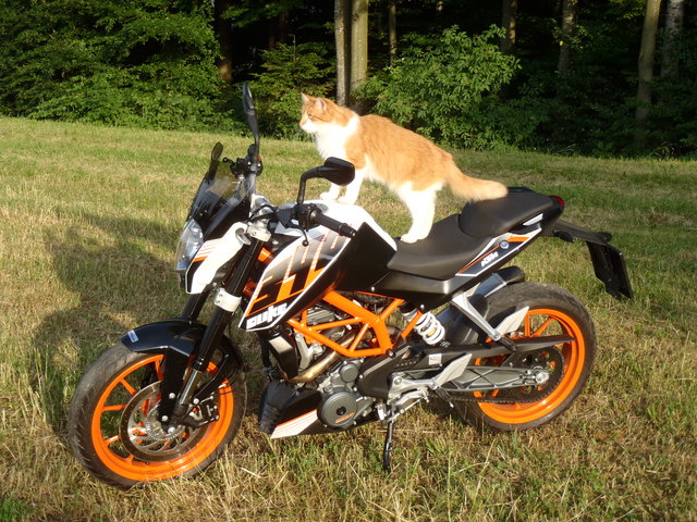 Barni: Wo bleibt denn mein Herrchen, ich freue mich schon so auf meine erste Ausfahrt!