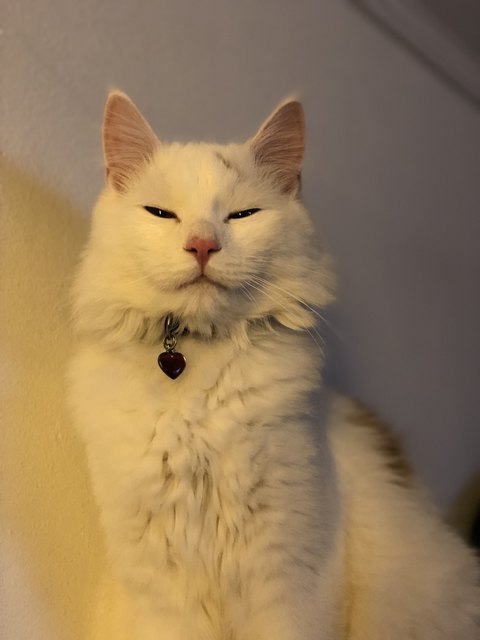 ❤️