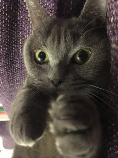 LUNA