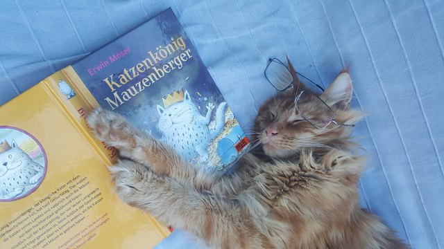 Von Michaela Zinner