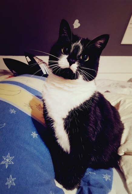 Prinzessin Shita :)