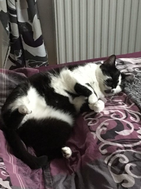 Helena die Meisterin des Chillens