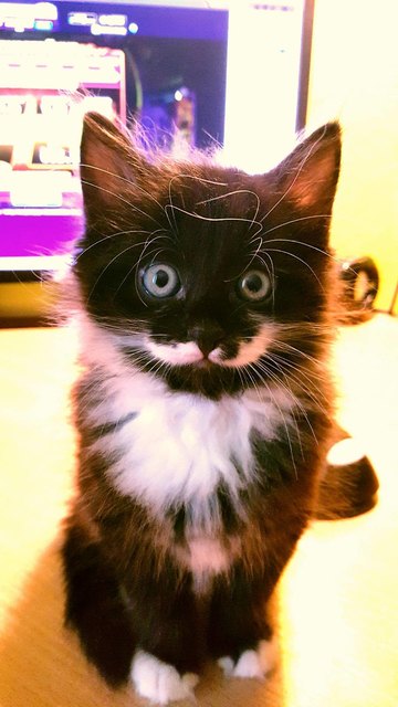 Miyagi