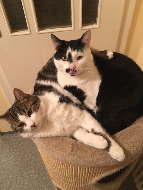 Egon & Felix