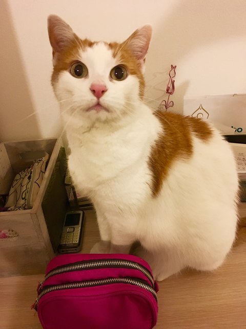 Specki wartet auf ihr Futter :-)