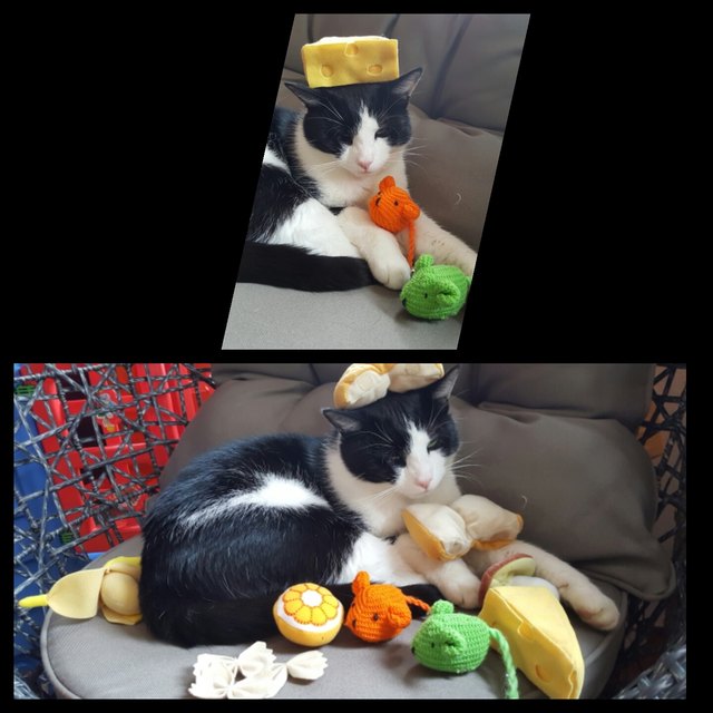 Billy spielt gerne mit den Kindern