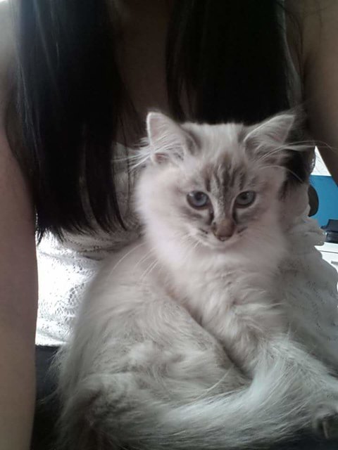 Klein Baby Lucy