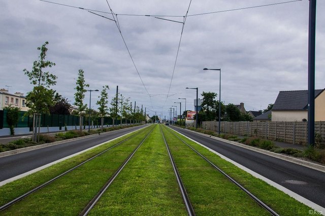 Die französische Stadt Brest setzt auf begrünte Gleise.