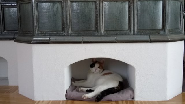 Ein warmes Plätzchen für kalte Tage