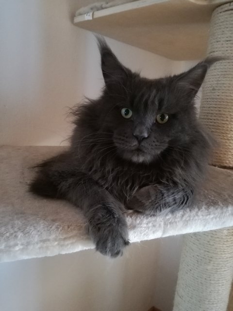 Mikey mein Model