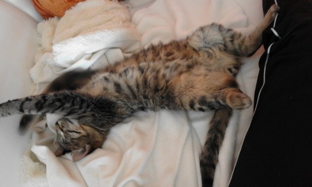 Maxi macht sichs bequem