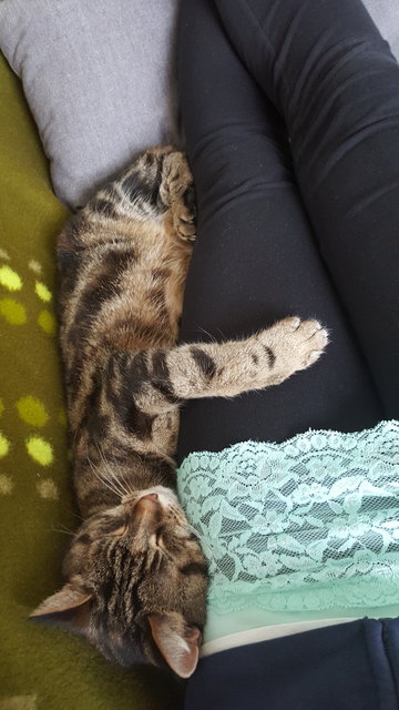 Kuschelzeit