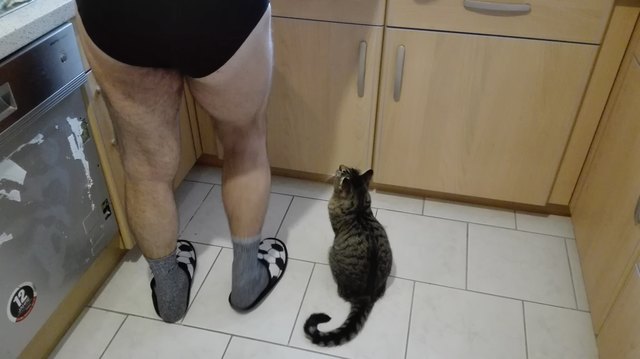 Herrl und maxi