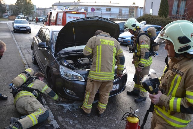 Die Feuerwehr war mit zehn Mann im Einsatz. | Foto: www.ff-ried.at