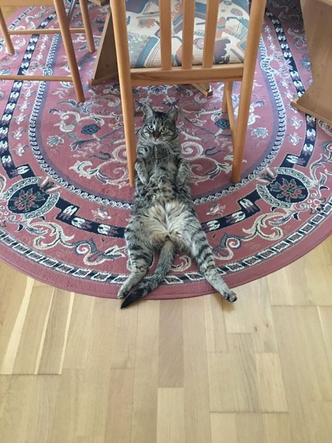 Der Charly
