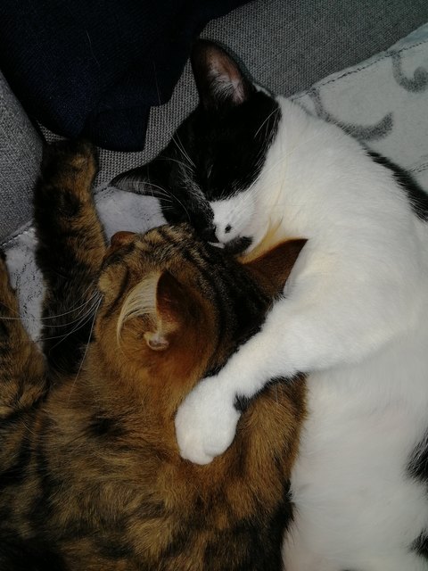 Kuschelzeit